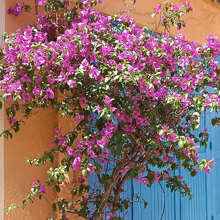 Homestay La Petite Maison De Charme *